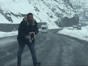 Donmak üzere olan kedi kurtarıldı