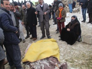 Başkala'de depremde: 7 ölü