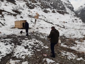 Sahipsiz hayvanlara yardım eli uzatıldı