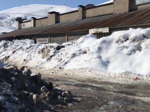 Hakkari'de karla mücadele sürüyor...