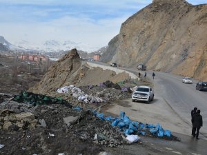 Hakkari-Van karayolu atıklardan temizlendi