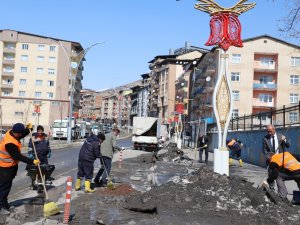 Hakkari belediyesinden bahar temizliği