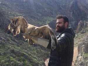 Tedavi edilen şahinler doğaya bırakıldı