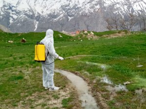 Hakkari’de Larva ile mücadele çalışması başlatıldı