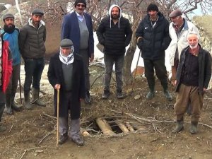 Köylüler ayıyı etkisiz hale getirmek için nöbet tutacak