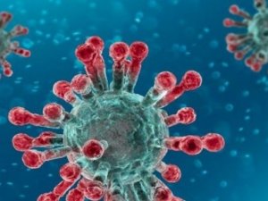 Koronavirüsün vücuda ana giriş kapısı bulundu