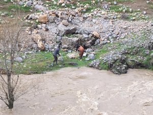 Taşan dereler vatandaşların ekmek kapısı oldu