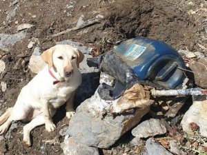 El yapımı patlayıcı ele geçirildi