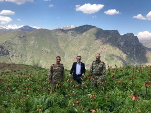 Şemdinli’ye baharla gelen güzellik