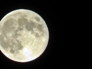 Yüksekova’da görsel şölen oluşturdu