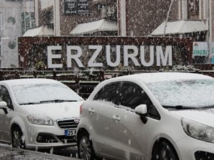 Baharı beklerken kar yağdı