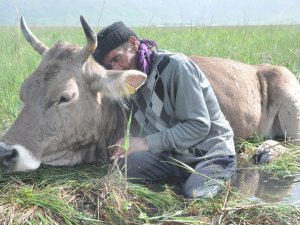 Tek geçim kaynağı bataklığa saplandı