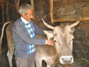 Hayvanına kavuşan Atasoy’un mutluluğu