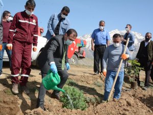 Sağlık çalışanları vatan tepesine fidan dikti
