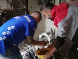 Belediye ekipleri aç kalan güvercinleri besledi
