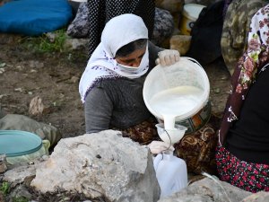 Berivanların zorlu mesaisi başladı
