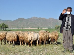 Mehmet Emin amcamıza 20 koyun hediye ettik