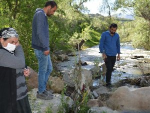 Derede boğulan ineği için gözyaşı döktü