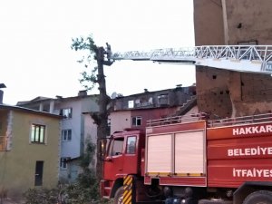 Hakkari'de tehlike arz eden ağaçlar kesildi