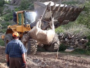 3 ailenin umudu toprağa görüldü