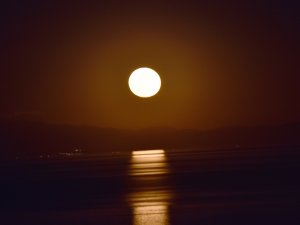 Van Gölü’ndeki yakamoz hayran bıraktı