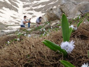 Haziran ayında kartopu keyfi