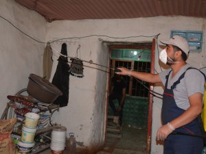 Hakkari’de bir evde 10 yılan bulundu