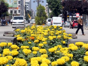 Van çiçeklerle süsleniyor...