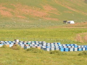 Beytüşşebap aracılarla doldu