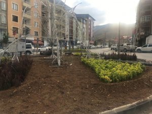 Hakkari belediyesi süsleme çalışması başlattı