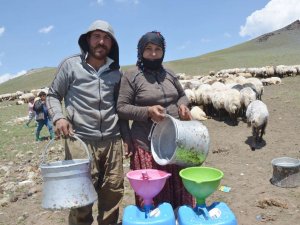 Hakkari’nin Nebırnav Yaylası’na göçerler akın etti