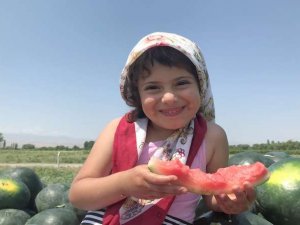 Iğdır’da bal küpü hasadı başladı