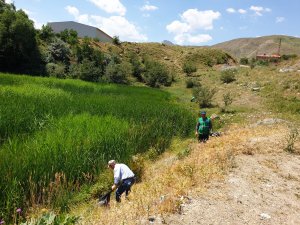 Golazüryan belediye ekiplerince temizlendi