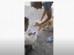 Karayolları 114. Şube Şefliği ekiplerinden insanlık dersi