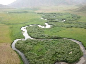 Faraşin Yaylası Yeşilöz dersi