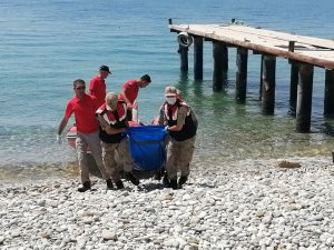 Van Gölü’nden çıkartılan ceset sayısı 50'ye yükseldi