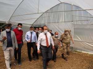 Vali Pehlivan istihdam projelerini denetledi