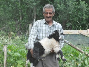 Mehmet Amca bu bayram çok mutlu