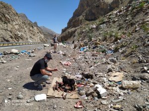 Belediye ekibi can dostlara sahip çıkıyor