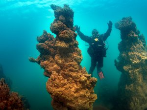Van Gölü’nün sırları film oldu