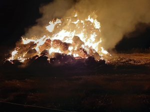 Gece saatlerinde çıkan yangın korkuttu