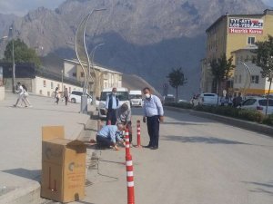 Belediye duba çalışması başlattı