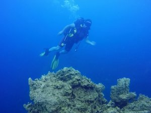 Yanardağa benzeyen mikrobiyalitler büyüledi