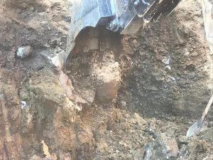 Hakkari’de define heyecanı!