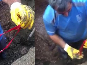 Kayıp çeyrek altınlar kanalizasyonda bulundu