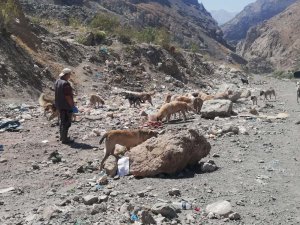 Hakkari'de can dostlar unutulmadı