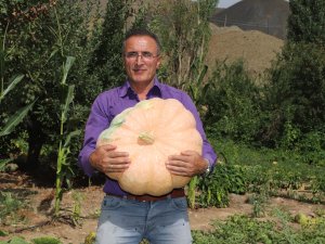 Hakkari’de 45 kiloluk bal kabağı yetiştirildi
