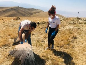 Sağlığına kavuşan Akbaba doğaya salındı