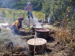 Doğal üzüm pekmezinin yapılmasına başlandı