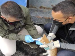 Can dostlar Hakkari belediyesine emanet